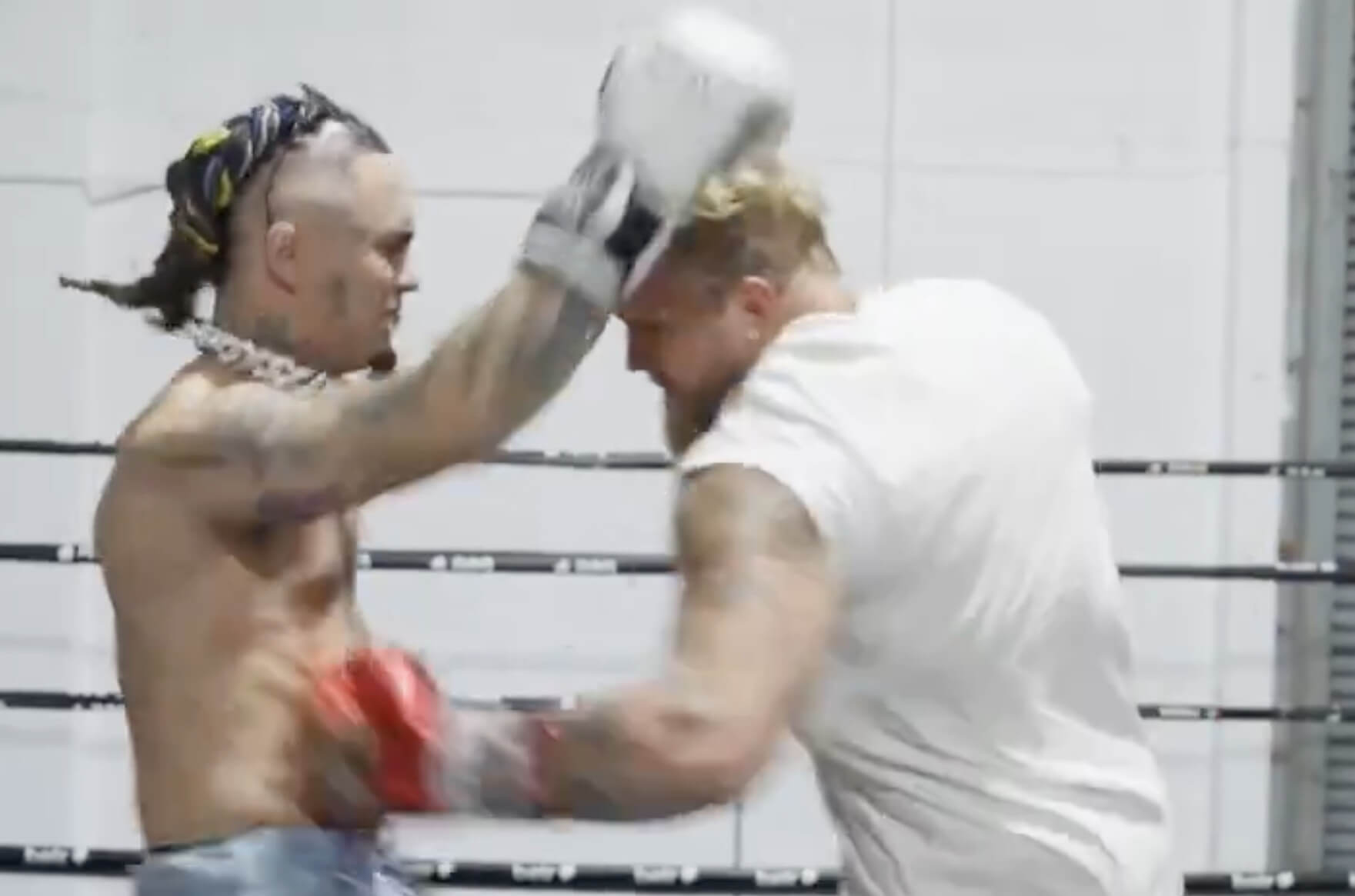 VIDEO: Po údere kričal od bolesti! Jake Paul tvrdo knokautoval slávneho amerického rapera