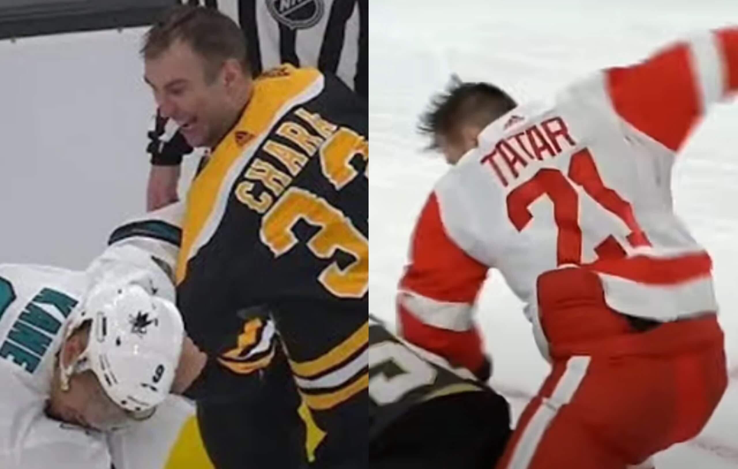 Z INÉHO SÚDKA: Najlepšie bitky Slovákov v NHL