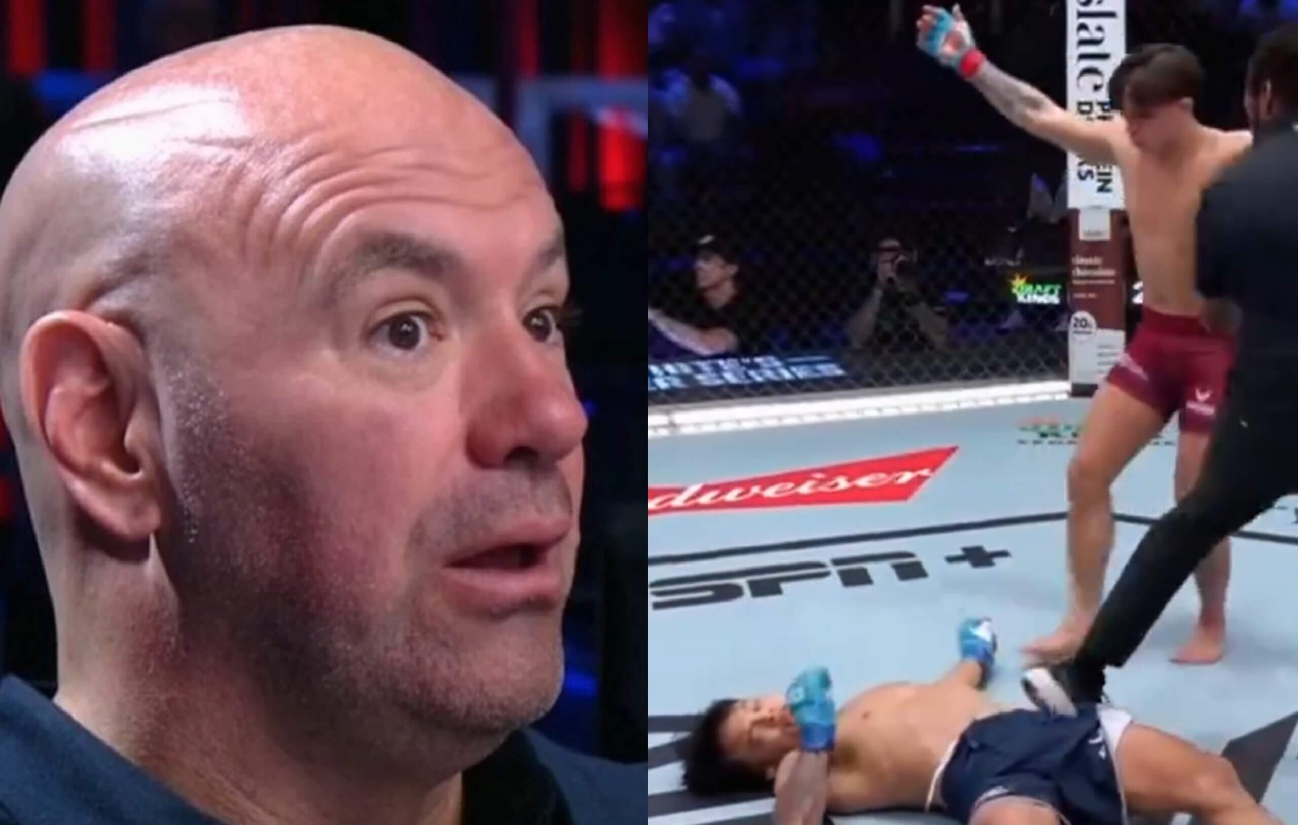 VIDEO: Neuveriteľné KO! Šéf UFC zostal v absolútnom šoku!