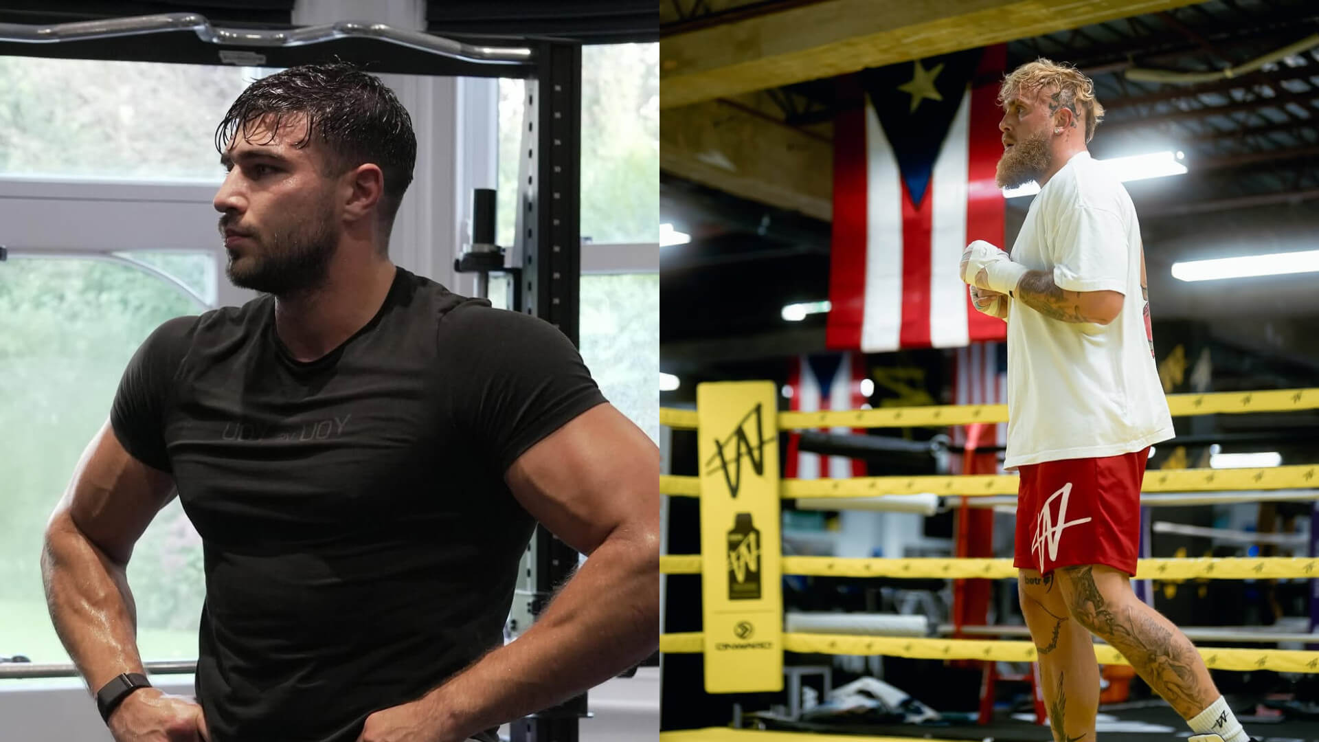 Rysuje sa zaujímavá odveta? Fury a Paul si na sociálnych sieťach vymieňajú tvrdé odkazy!