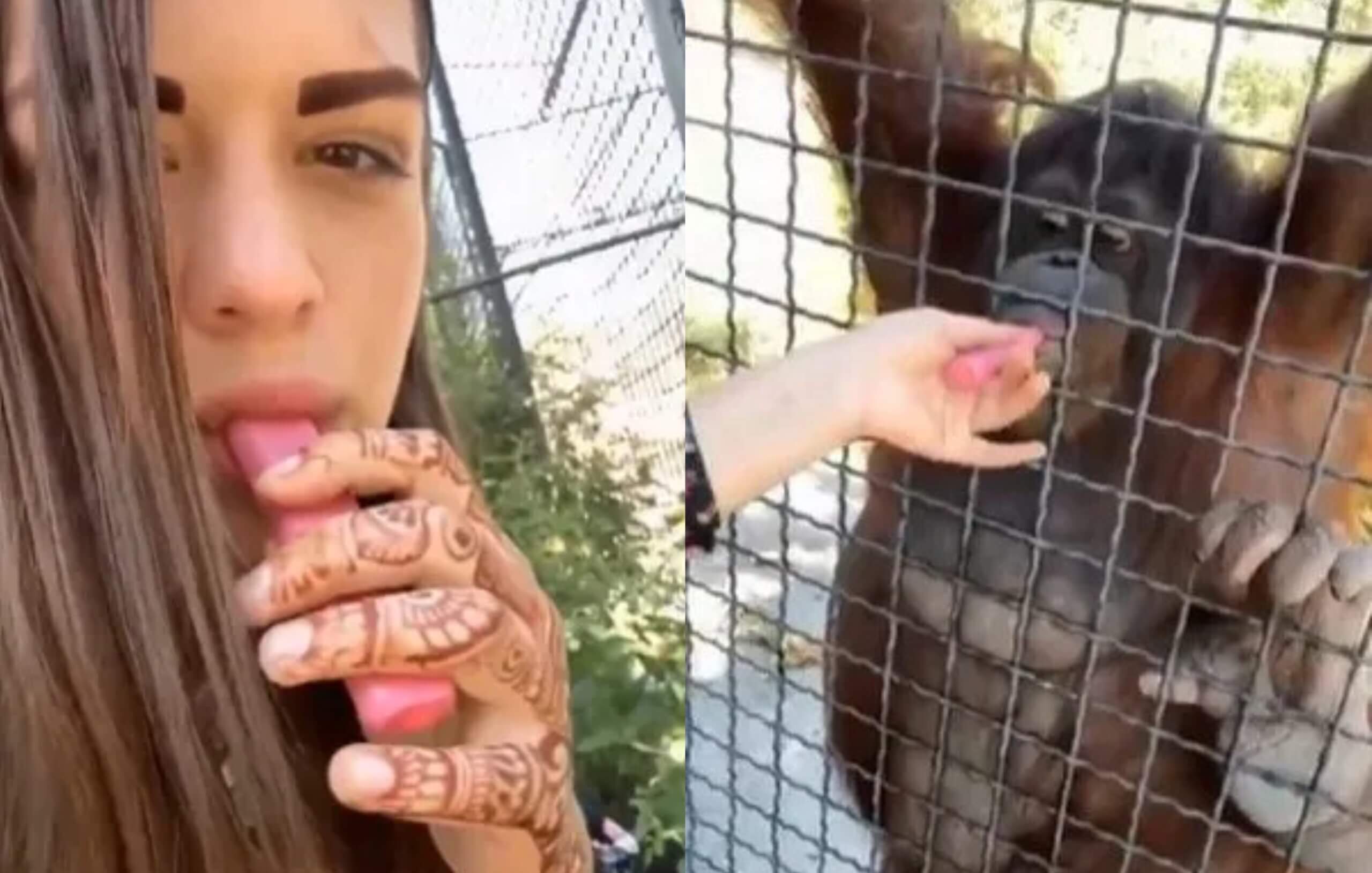 VIDEO Ruská bojovníčka terčom nenávisti: Zapálila si s orangutanom!