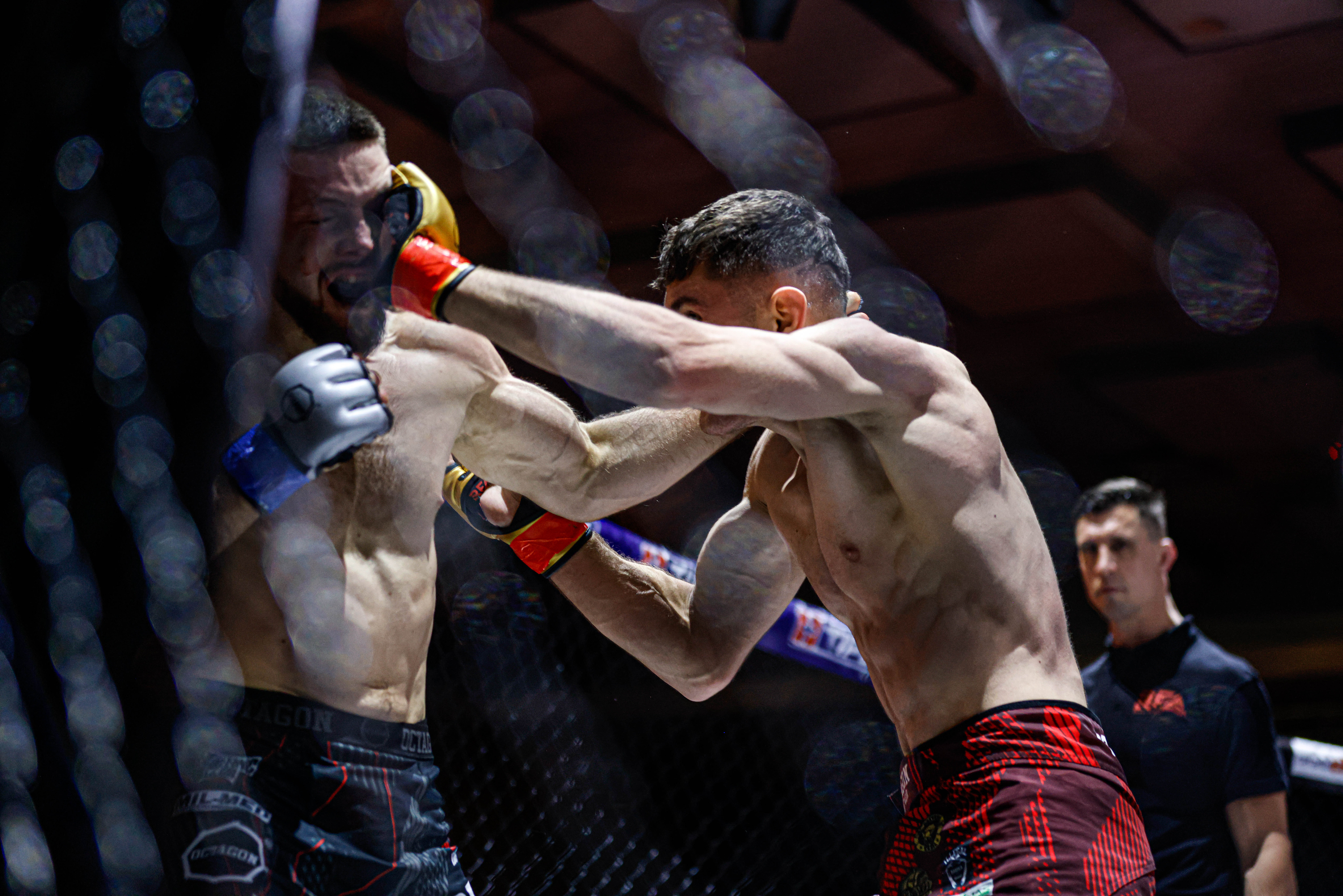 Vychádzajúca slovenská MMA hviezda znovu na žilinskej pôde: Dúfam, že to bude riadna divočina